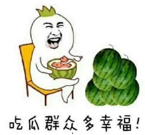 娱乐圈吃瓜用什么看,揭秘明星动态，轻松掌握娱乐热点